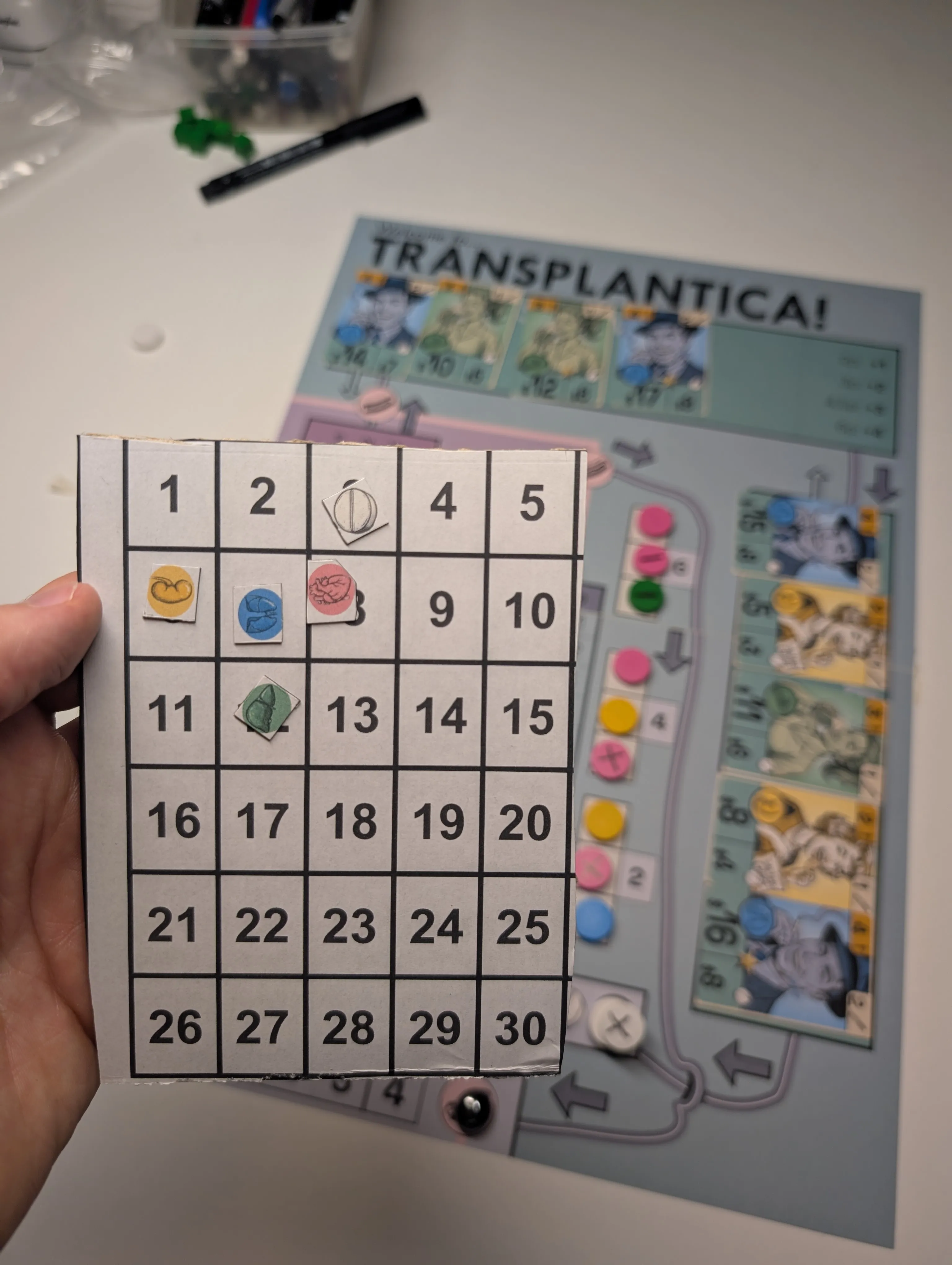 The Transplantica tracking grid prototype